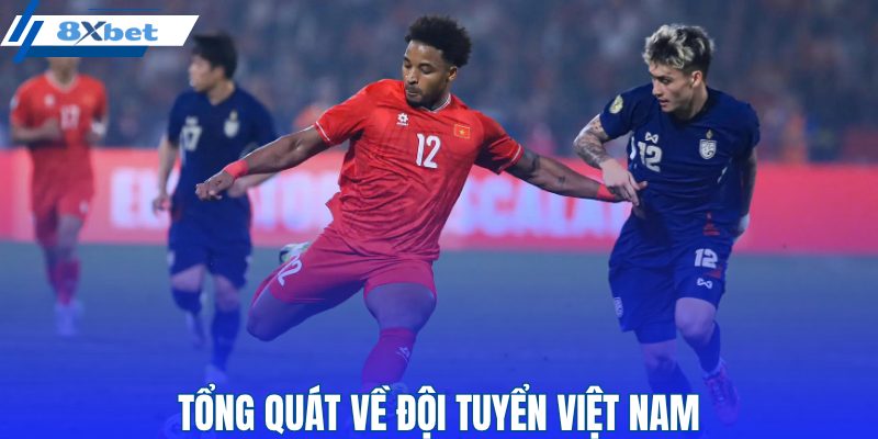 Giới thiệu chung về đội tuyển Việt Nam