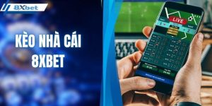 Kèo nhà cái 8XBET