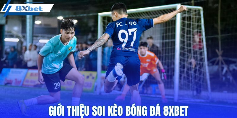 Thông tin sơ lược về soi kèo bóng đá 8XBET